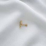 پیرسینگ گوش برگ نگیندار استیل