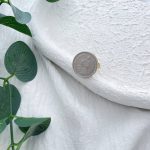انگشتر سکه شیر و خورشید متوسط استیل